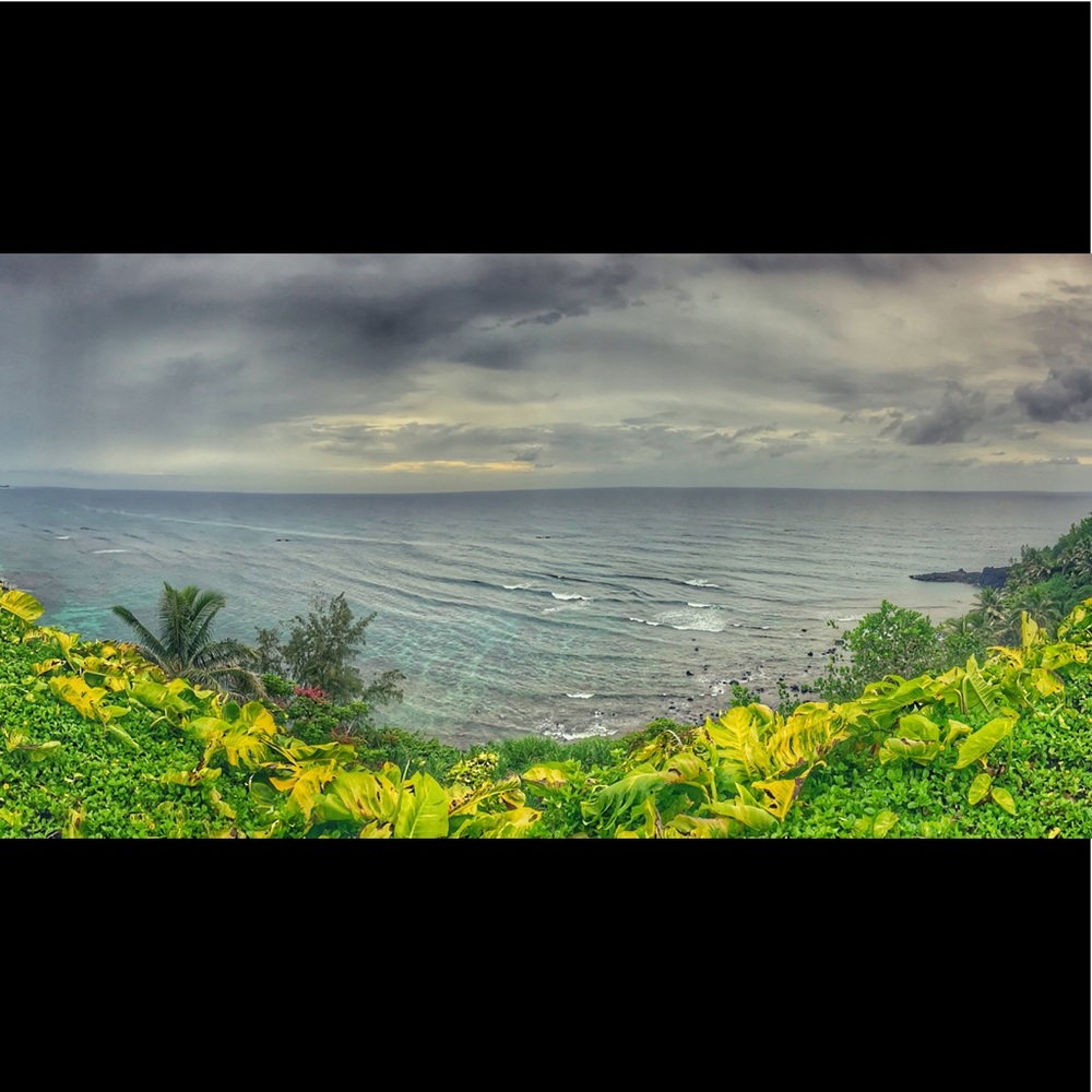 Meet your Posher, Danaya